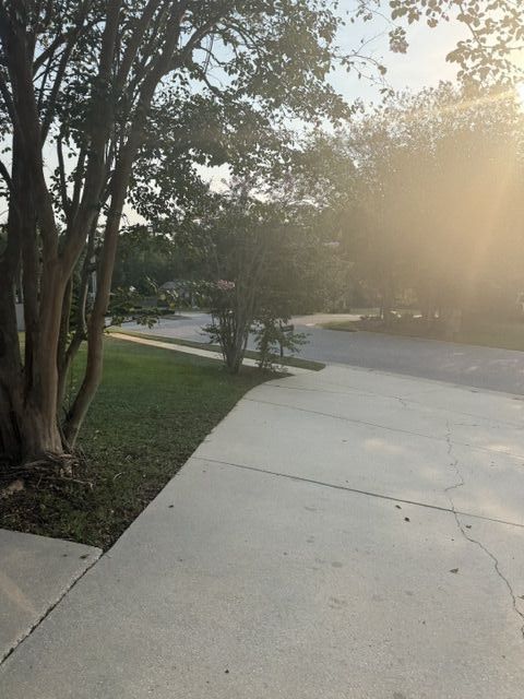 image7